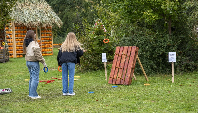 Dyniowa Farma we Wrocławiu, zdjęcia z 2024 roku