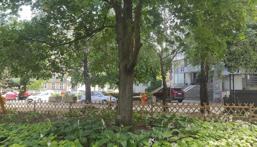 Siłownia na świezym powietrzu przy Wrocławczyka, z nowymi nasadzeniami