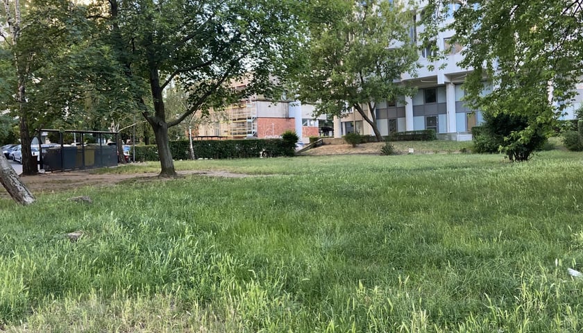 Wnętrze Nehringa-Nauczycielska-Skłodowskiej po remoncie