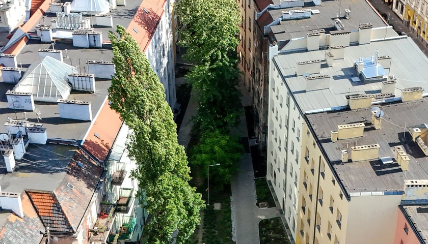 Podw&oacute;rko pomiędzy ulicami Rozbrat-Prusa-Sępa-Szarzyńskiego - po remoncie