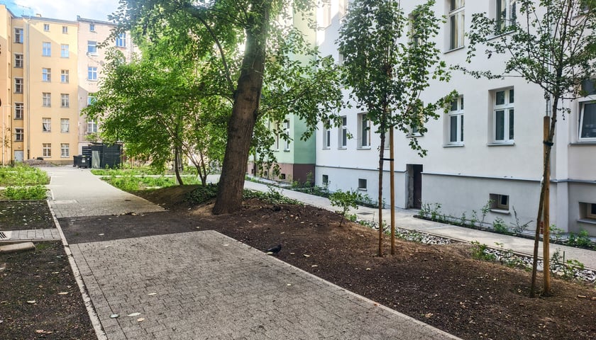 Podw&oacute;rko pomiędzy ulicami Rozbrat-Prusa-Sępa-Szarzyńskiego - po remoncie