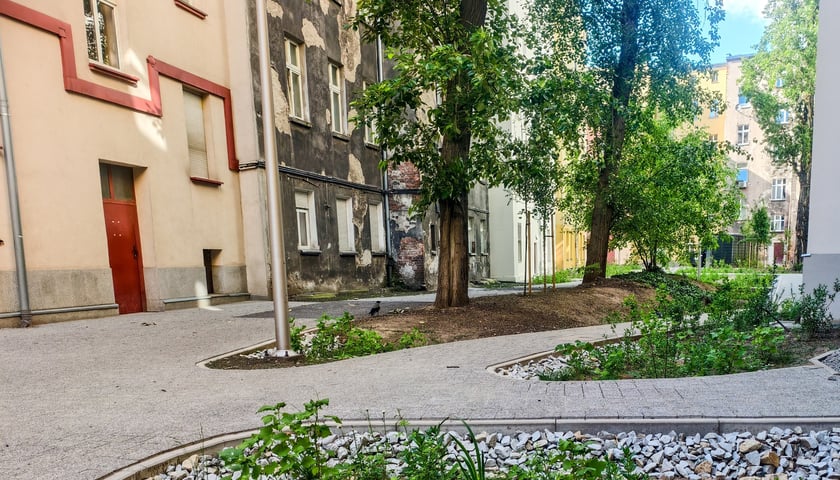 Podw&oacute;rko pomiędzy ulicami Rozbrat-Prusa-Sępa-Szarzyńskiego - po remoncie