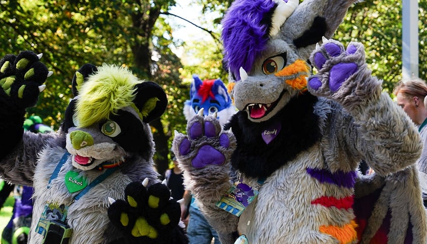 Powiększ obraz: Futrzaki opanowały Wrocław - marsz Furwalk 2025