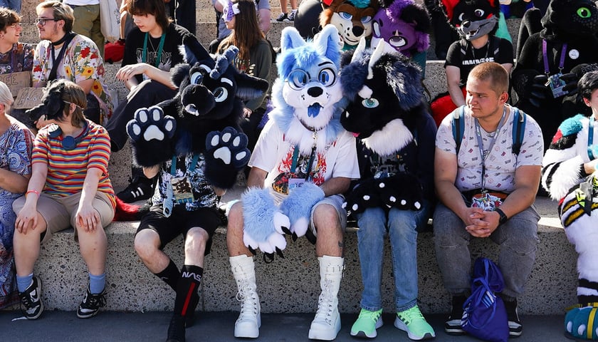 Powiększ obraz: Futrzaki opanowały Wrocław - marsz Furwalk 2025