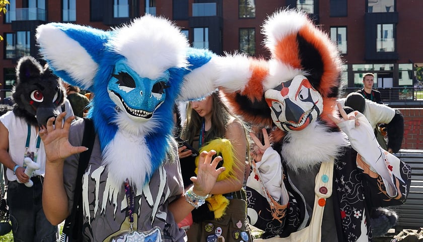 Powiększ obraz: Futrzaki opanowały Wrocław - marsz Furwalk 2025
