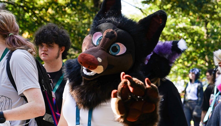 Powiększ obraz: Futrzaki opanowały Wrocław - marsz Furwalk 2025