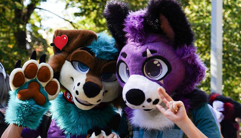 Powiększ obraz: Futrzaki opanowały Wrocław - marsz Furwalk 2025