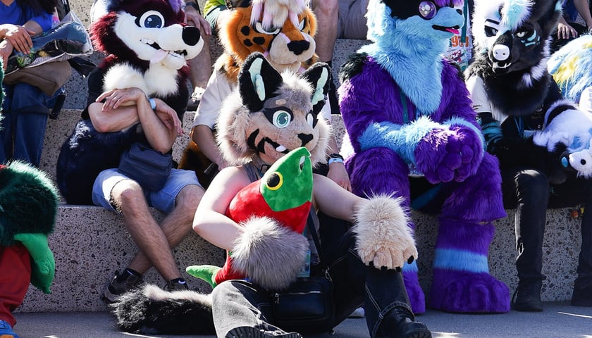 Powiększ obraz: Futrzaki opanowały Wrocław - marsz Furwalk 2025