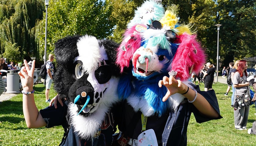 Powiększ obraz: Futrzaki opanowały Wrocław - marsz Furwalk 2025