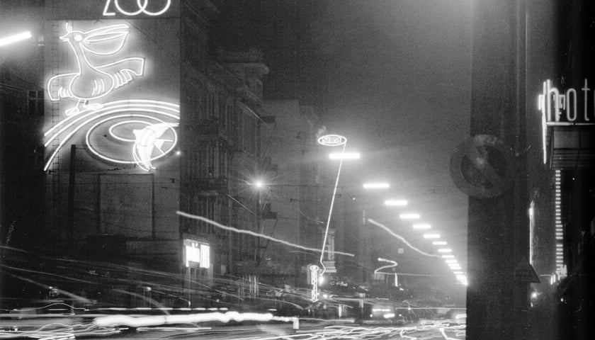 Powiększ obraz: <p>Ulica Piłsudskiego i błyszcząca reklama Zoo Wrocław - zwiedzajcie Zoo!</p>