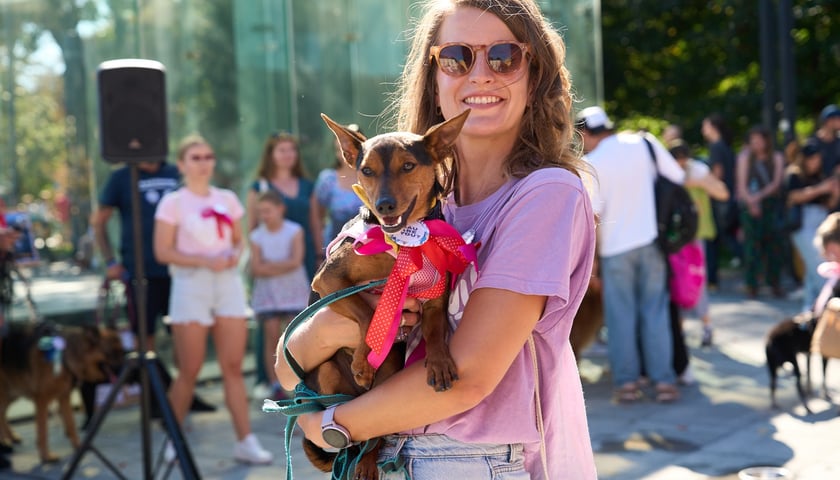 Powiększ obraz: <p>VI Parada Psów Wrocławskich przeszła przez miasto w niedzielę 21 września 2025 </p>