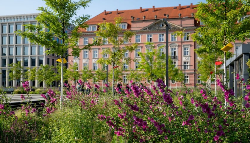 Nowy Targ po zmianie