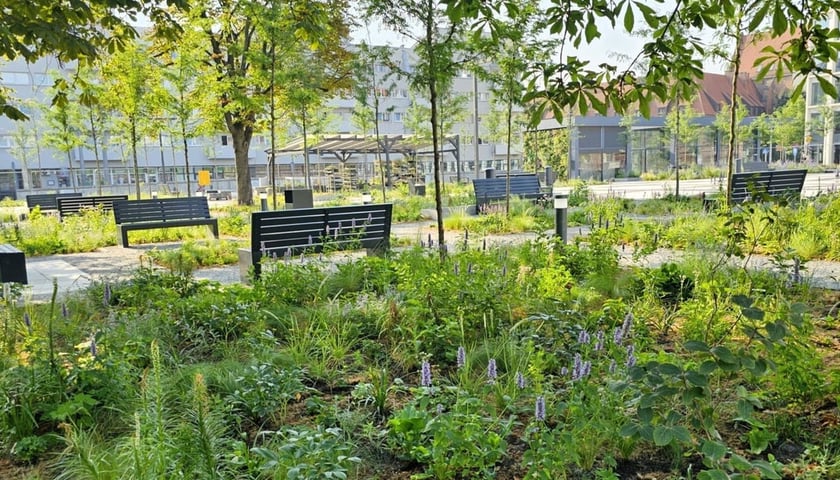 Nowy Targ po zmianie