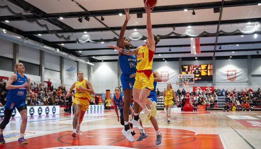 Z meczu ligowego Ślęzy w hali na Kłokoczycach, sezon 2024/2025