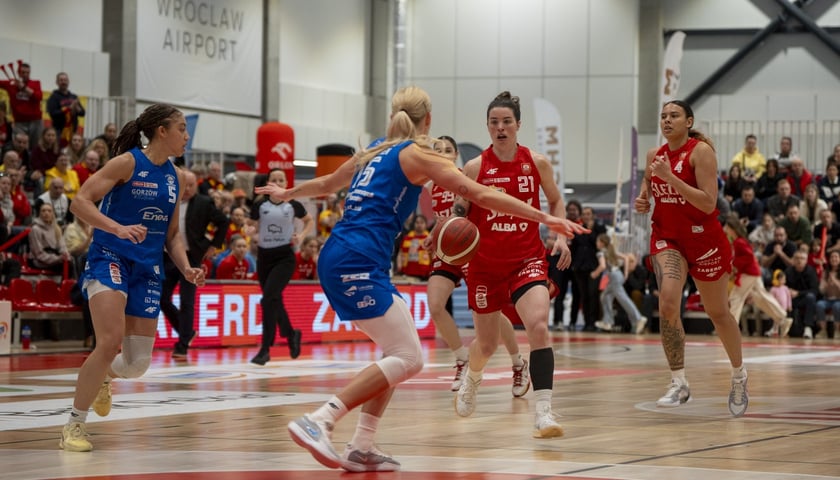 Z meczu ligowego Ślęzy w hali na Kłokoczycach, sezon 2024/2025