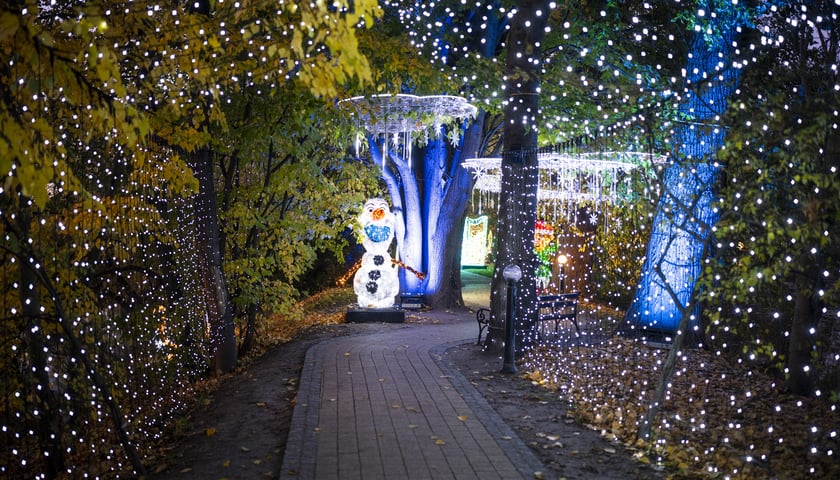 Powiększ obraz: Lumina Park 2024