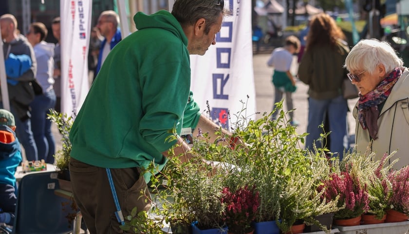 Aglomeracyjny Piknik Komunikacyjny we Wrocławiu