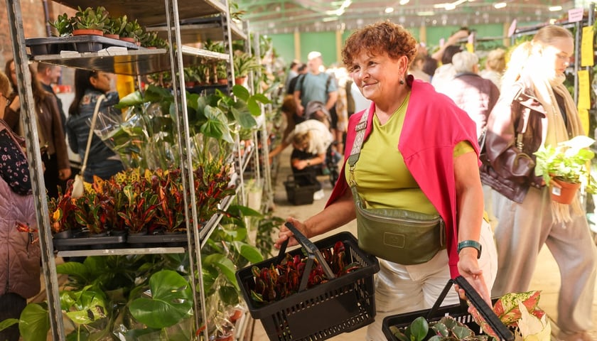 Festiwal Roślin w Czasoprzestrzeni