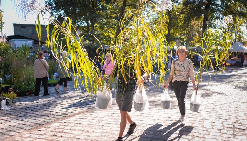 Kiermasz ogrodniczy Pamiętajcie o ogrodach na Partynicach
