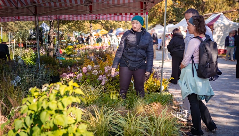 Kiermasz ogrodniczy Pamiętajcie o ogrodach na Partynicach