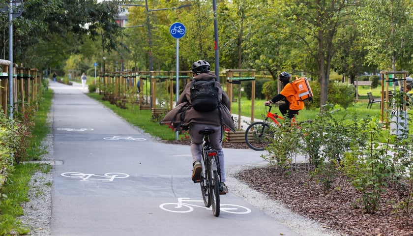 Powiększ obraz: Na Promenadzie Krzyckiej we wrześniu 2025