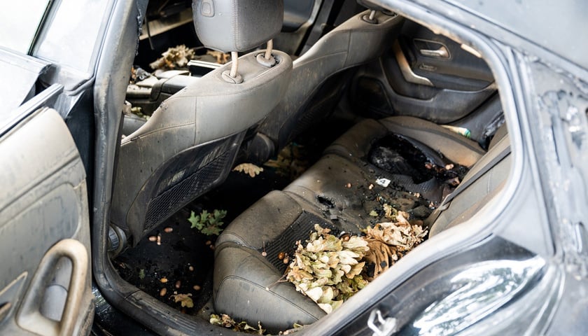 Powiększ obraz: Akcja usuwania wraku auta - samochodu porzuconego, bez właściciela