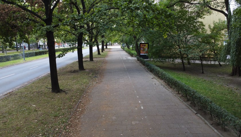 Powiększ obraz: <p>Droga rowerowa na ul. Kamiennej</p>