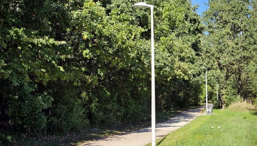 Powiększ obraz: <p>Latarnie w paku Maślickim</p>