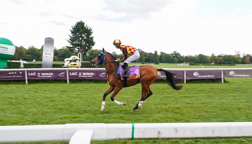 Student’s Day na Partynicach