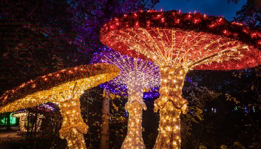 Lumina Park w Zamku Topacz - 15.10.2025