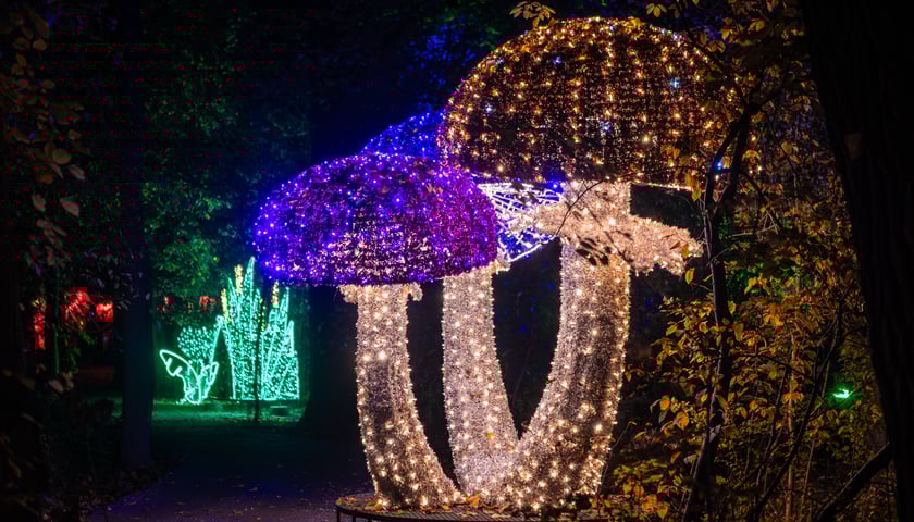 Lumina Park w Zamku Topacz - 15.10.2025