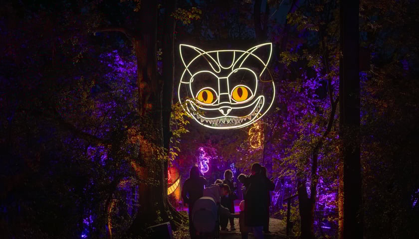 Lumina Park w Zamku Topacz - 15.10.2025