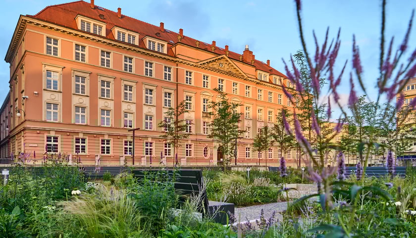 Powiększ obraz: Zielony plac Nowy Targ