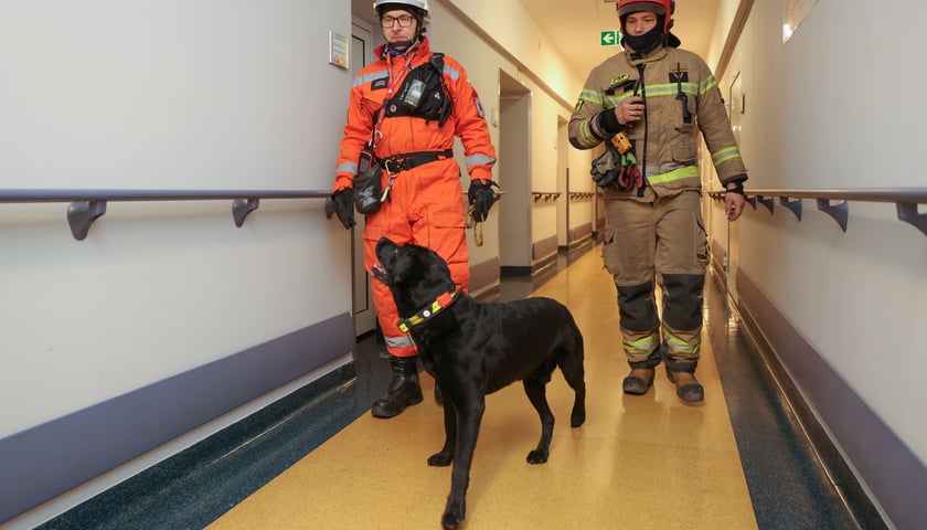 Powiększ obraz: Ewakuacja mieszkańców DPS przy ul. Rędzińskiej - ćwiczenia służb