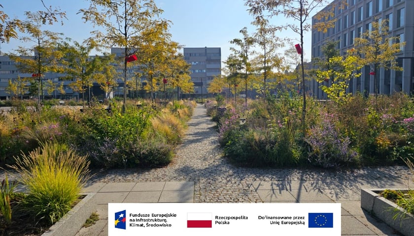 Powiększ obraz: Nowy Targ