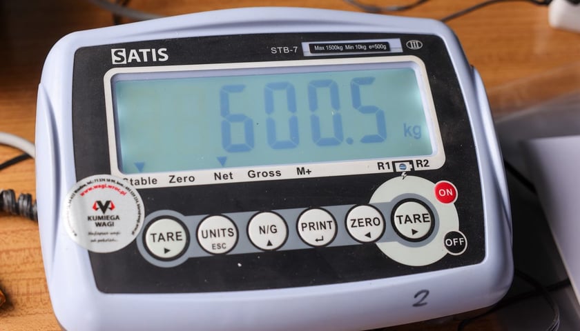 Powiększ obraz: Festiwal Dyni w Ogrodzie Botanicznym 2025