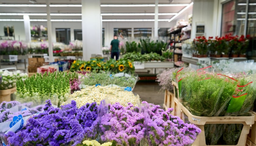 Giełda Kwiatowa we Wrocławiu - oto co na niej dostaniemy