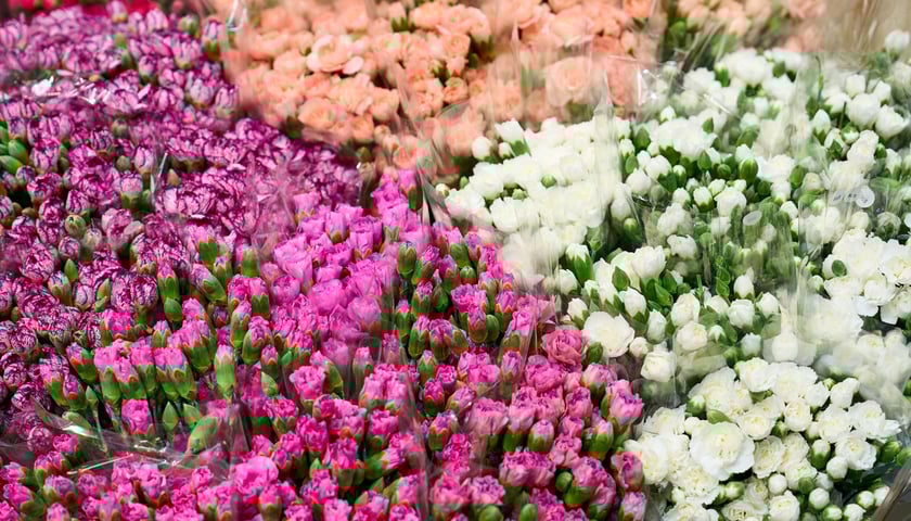 Giełda Kwiatowa we Wrocławiu - oto co na niej dostaniemy