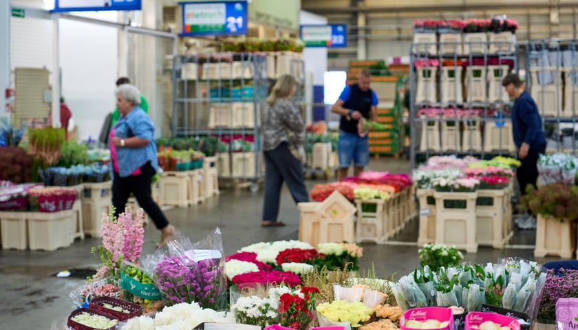 Giełda Kwiatowa we Wrocławiu - oto co na niej dostaniemy