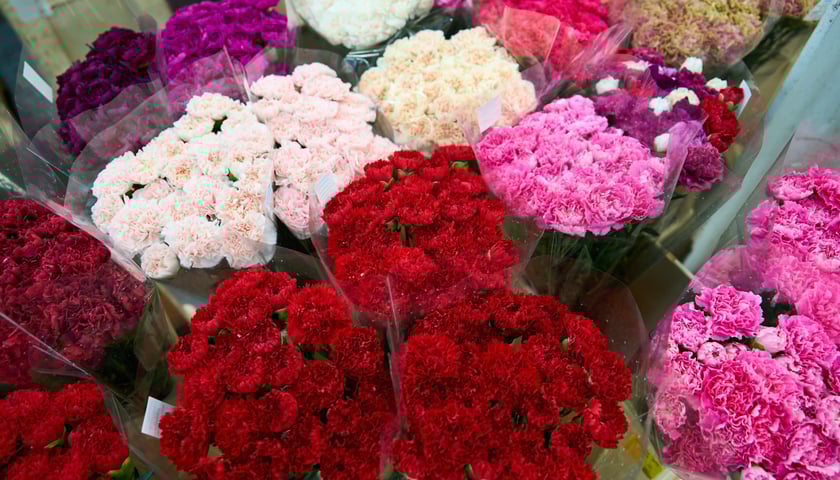 Giełda Kwiatowa we Wrocławiu - oto co na niej dostaniemy