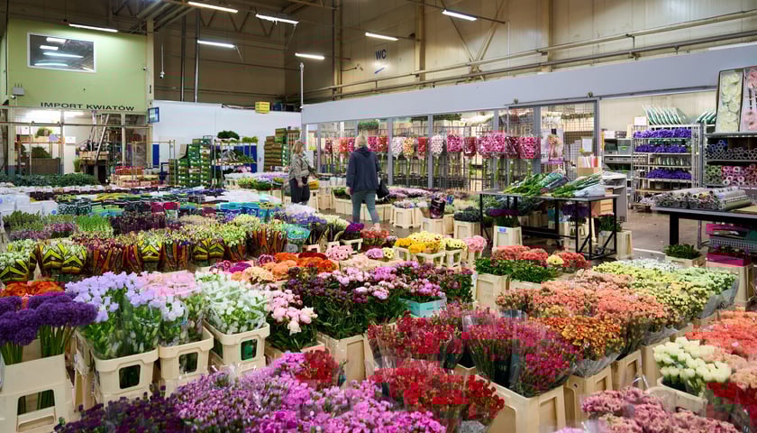 Giełda Kwiatowa we Wrocławiu - oto co na niej dostaniemy