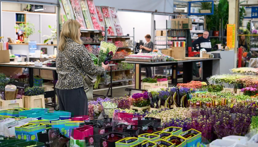 Giełda Kwiatowa we Wrocławiu - oto co na niej dostaniemy