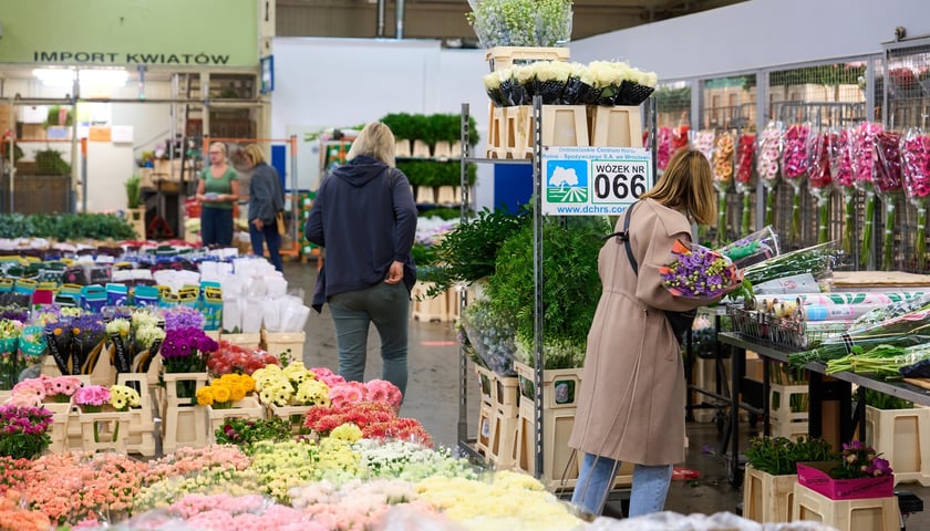 Giełda Kwiatowa we Wrocławiu - oto co na niej dostaniemy