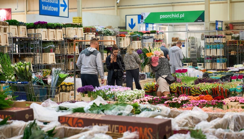 Giełda Kwiatowa we Wrocławiu - oto co na niej dostaniemy