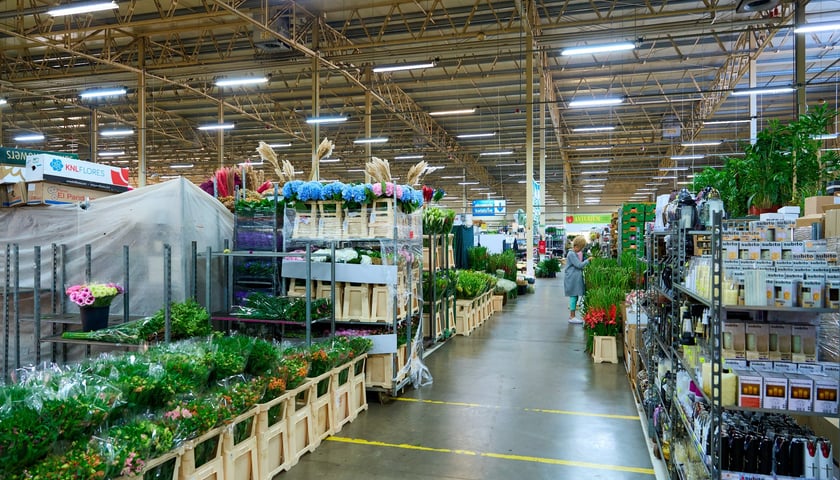 Giełda Kwiatowa we Wrocławiu - oto co na niej dostaniemy