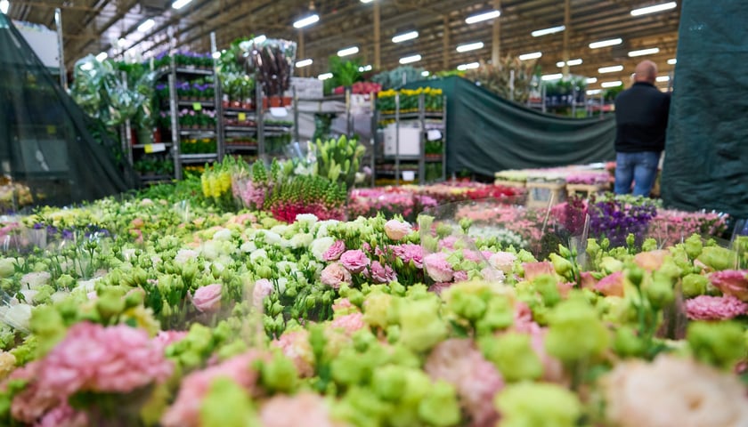 Giełda Kwiatowa we Wrocławiu - oto co na niej dostaniemy