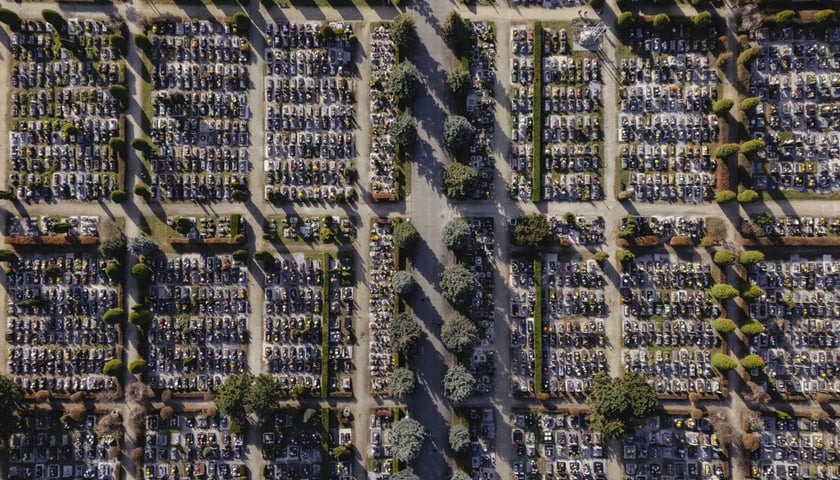 Cmentarz Kiełczowski, zdjęcie archiwalne z 2024 roku.