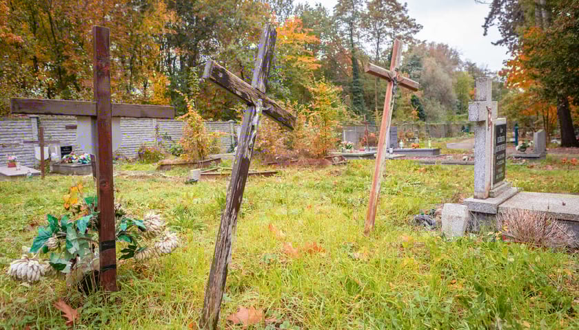 Powiększ obraz: <p>Zapomniane nagrobki na jednym z wrocławskich cmentarzy, zdjęcie ilustracyjne.</p>