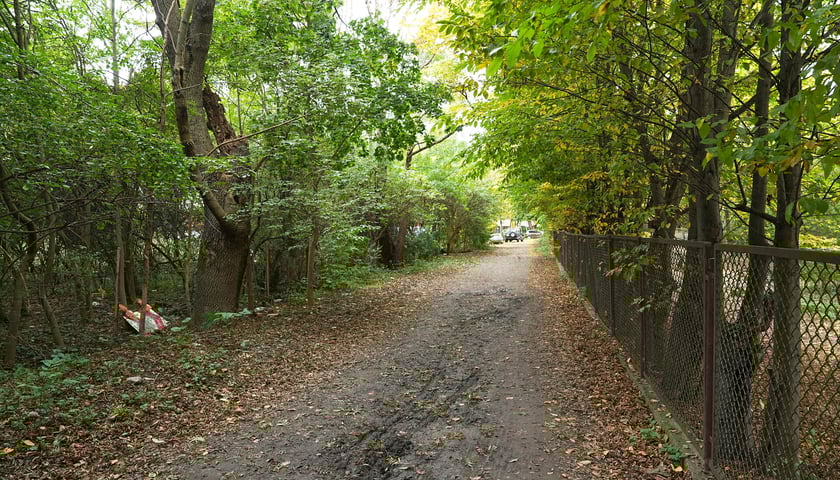 Powiększ obraz: Dzierżonia przed remontem, październik 2025