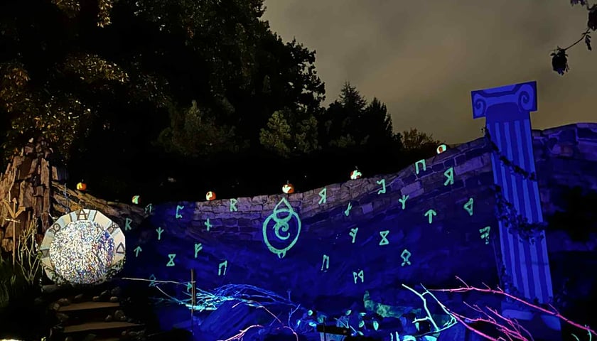 Powiększ obraz: <p>Dyniowe Iluminacje w Ogrodzie Botanicznym UWr </p>